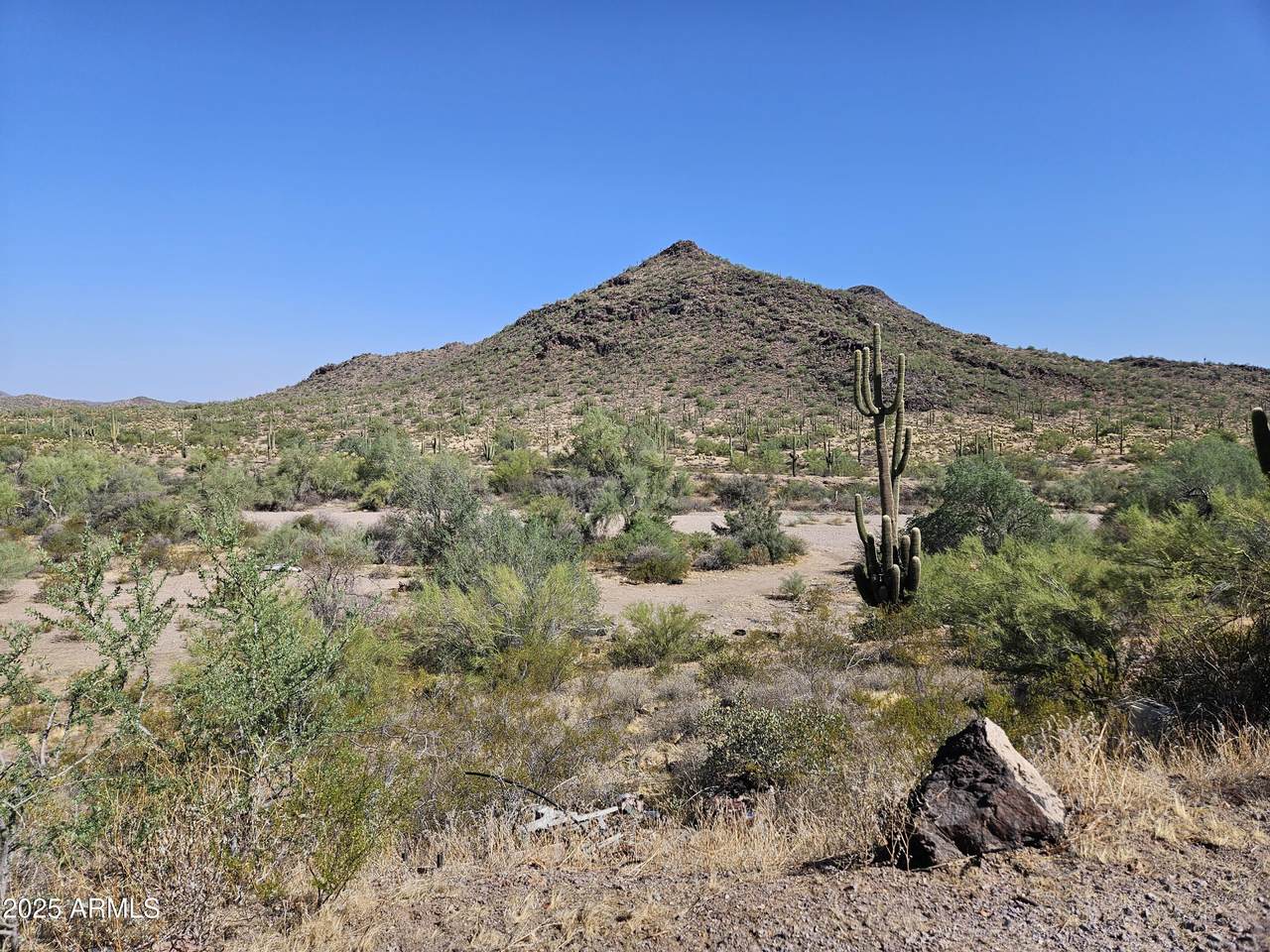 29600 Black Mountain Rd. Road - Photo 1