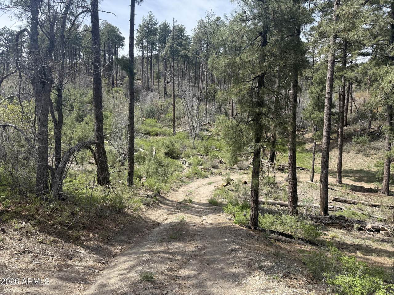 00 Wild Flower Road - Photo 1