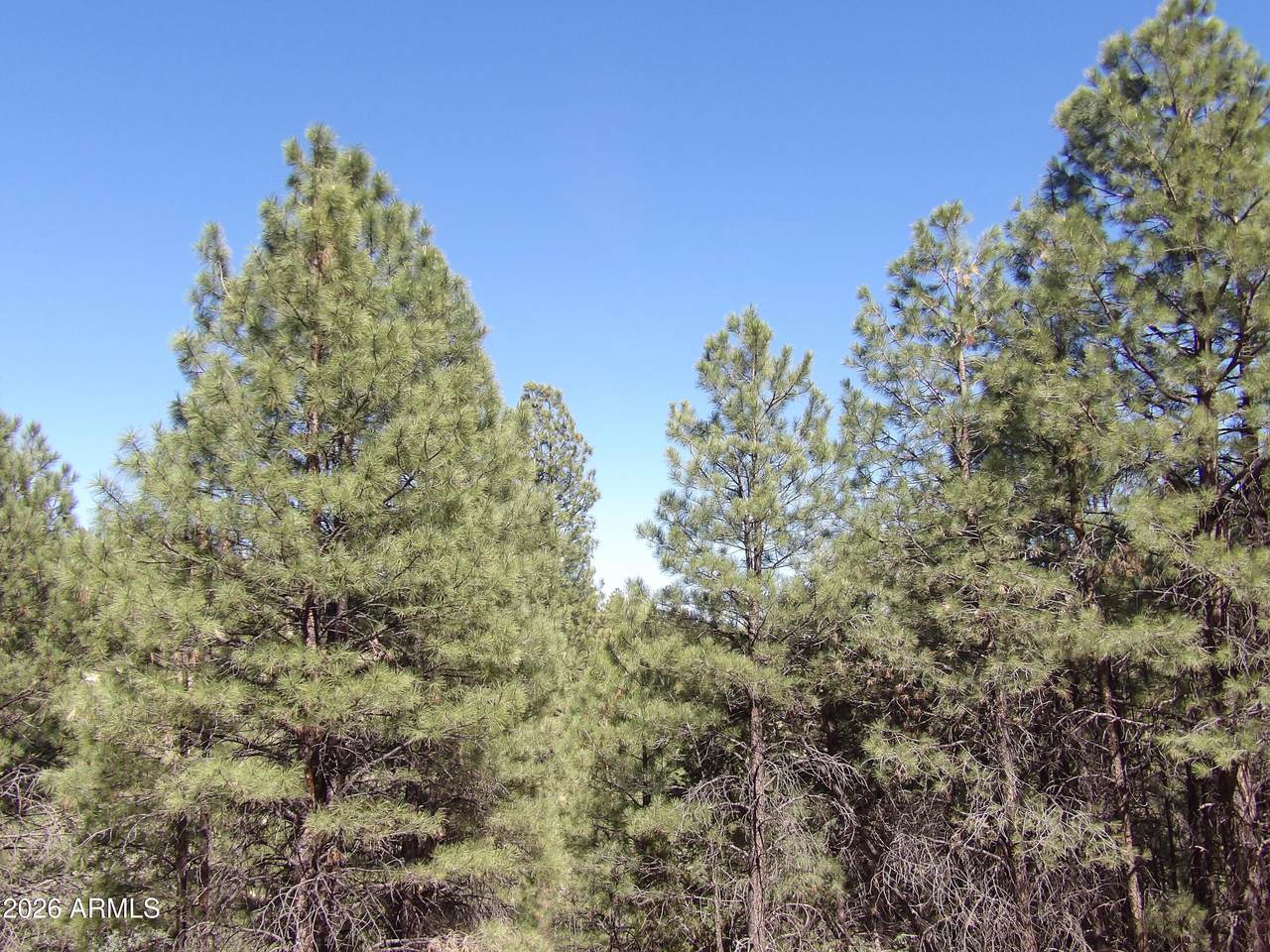 1601 Moqui Drive - Photo 1