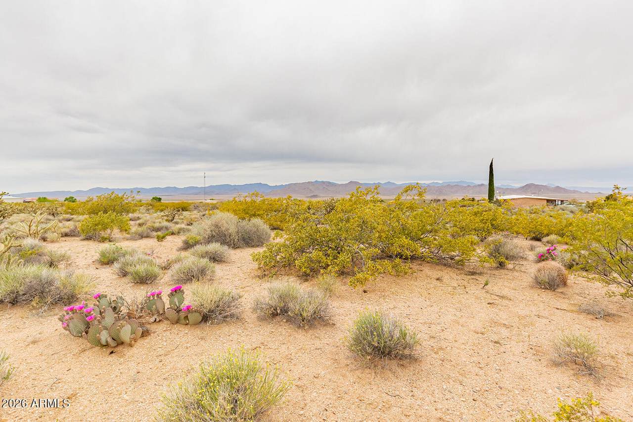 8699 Cochise Place - Photo 1