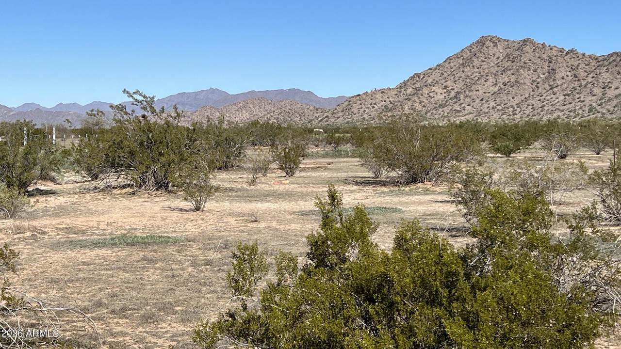 0070 Western Meadows Lane - Photo 1