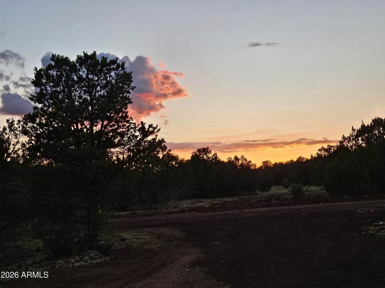 1760 Honeysuckle Road - Photo 1