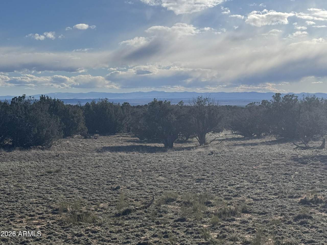 Lot 215 Woodland Valley Ranch - Photo 1