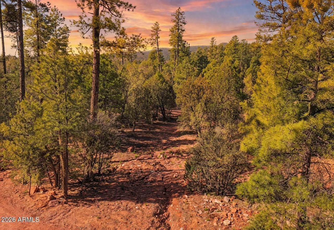 0 Fawn Drive - Photo 1