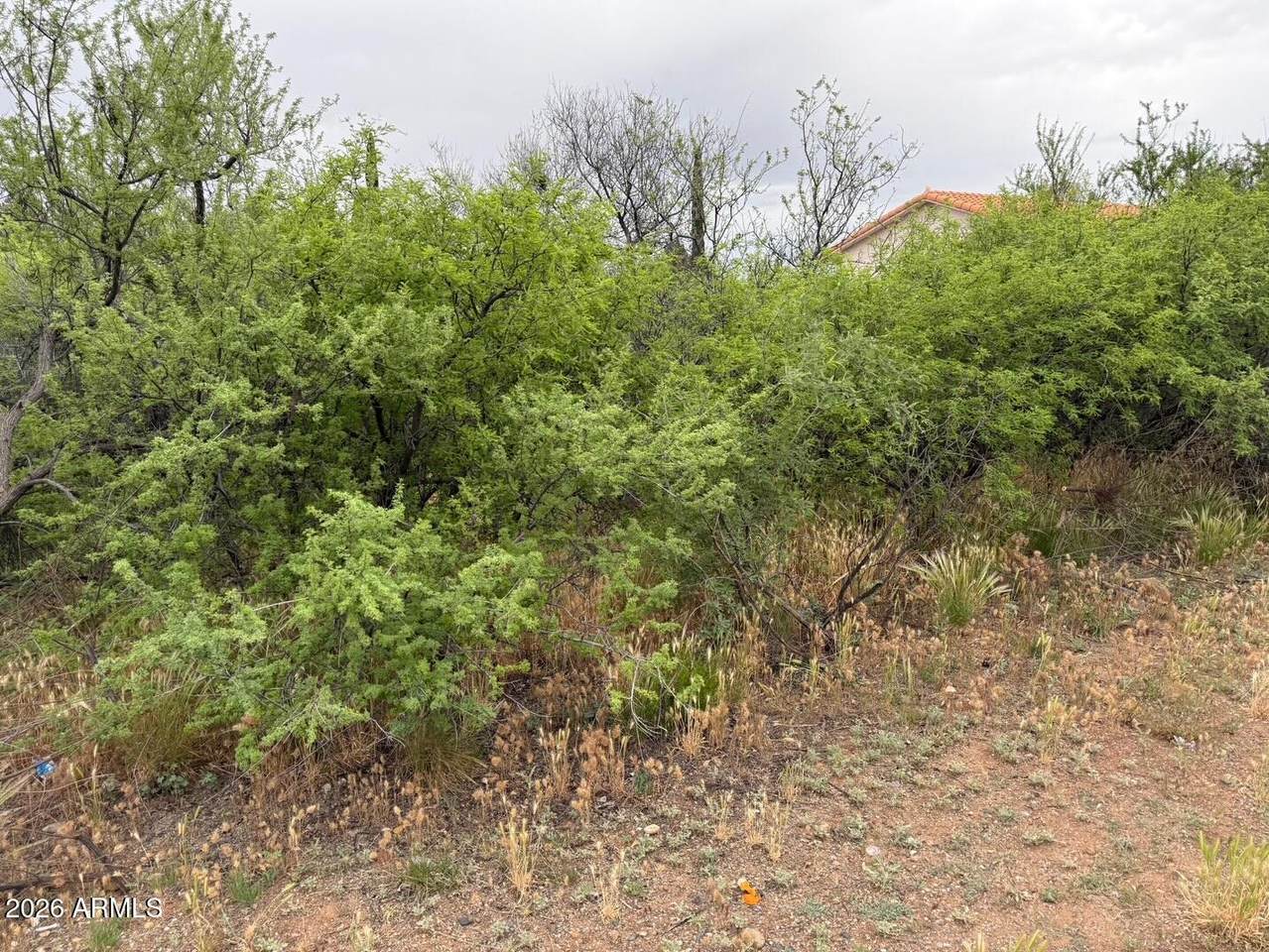 2211 Roundup Trail - Photo 1