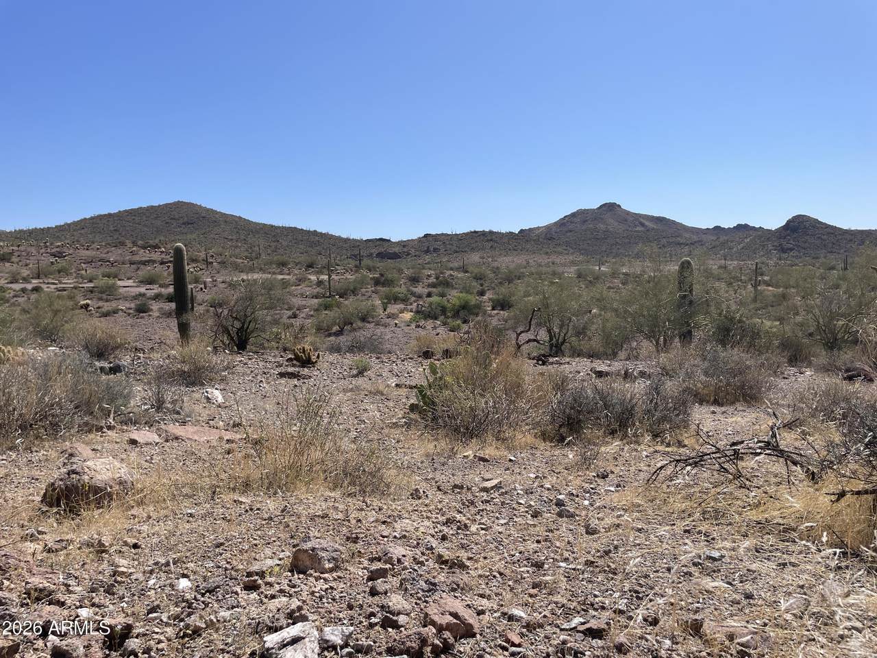 0X Elephant Butte ''2'' Road - Photo 1