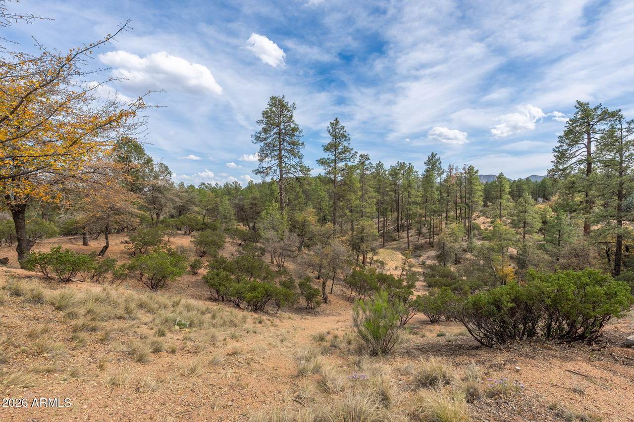 3010 Arrow Point - Photo 1