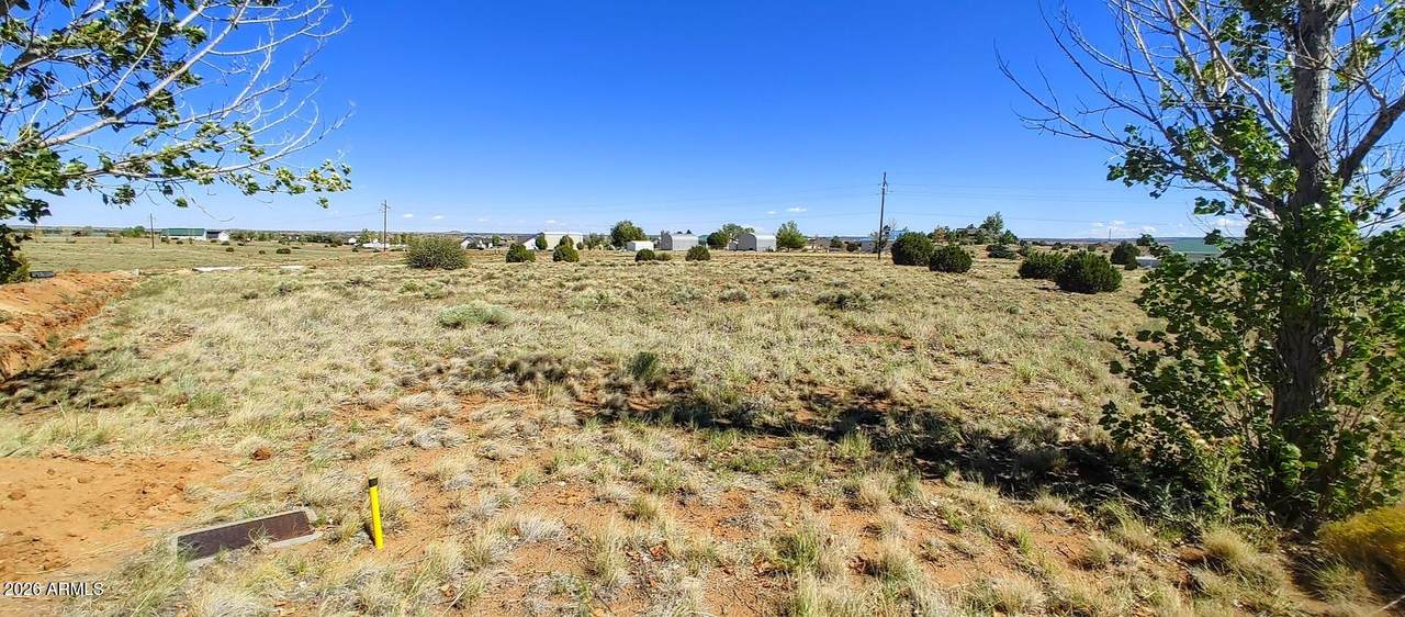 1190 Haystack Road - Photo 1