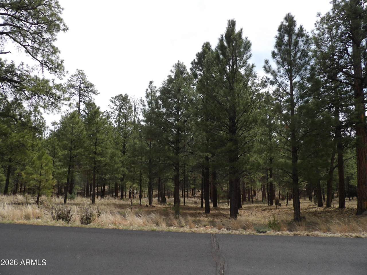 2011 Pine Canyon Drive - Photo 1