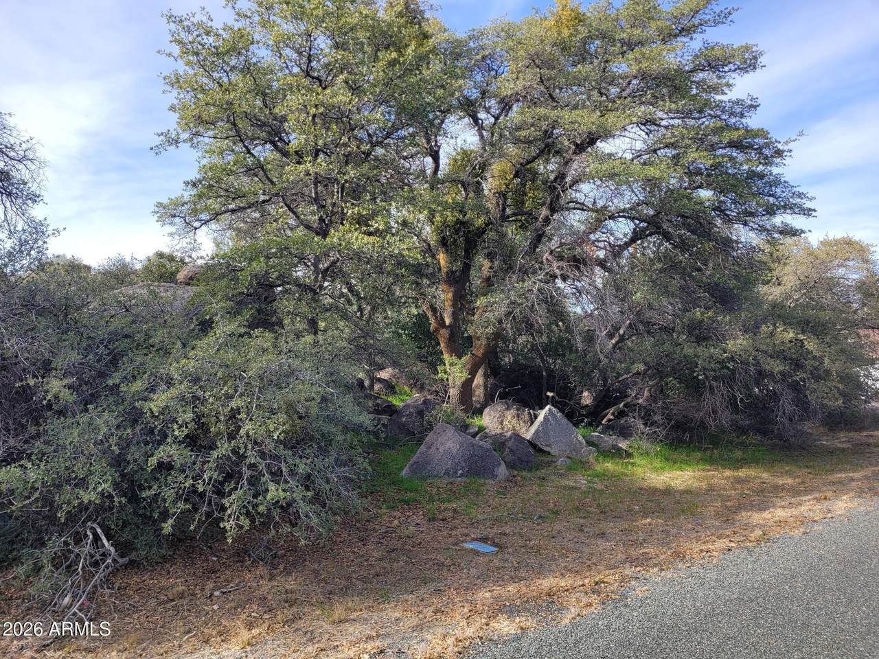 23234 Mountainaire Drive - Photo 1