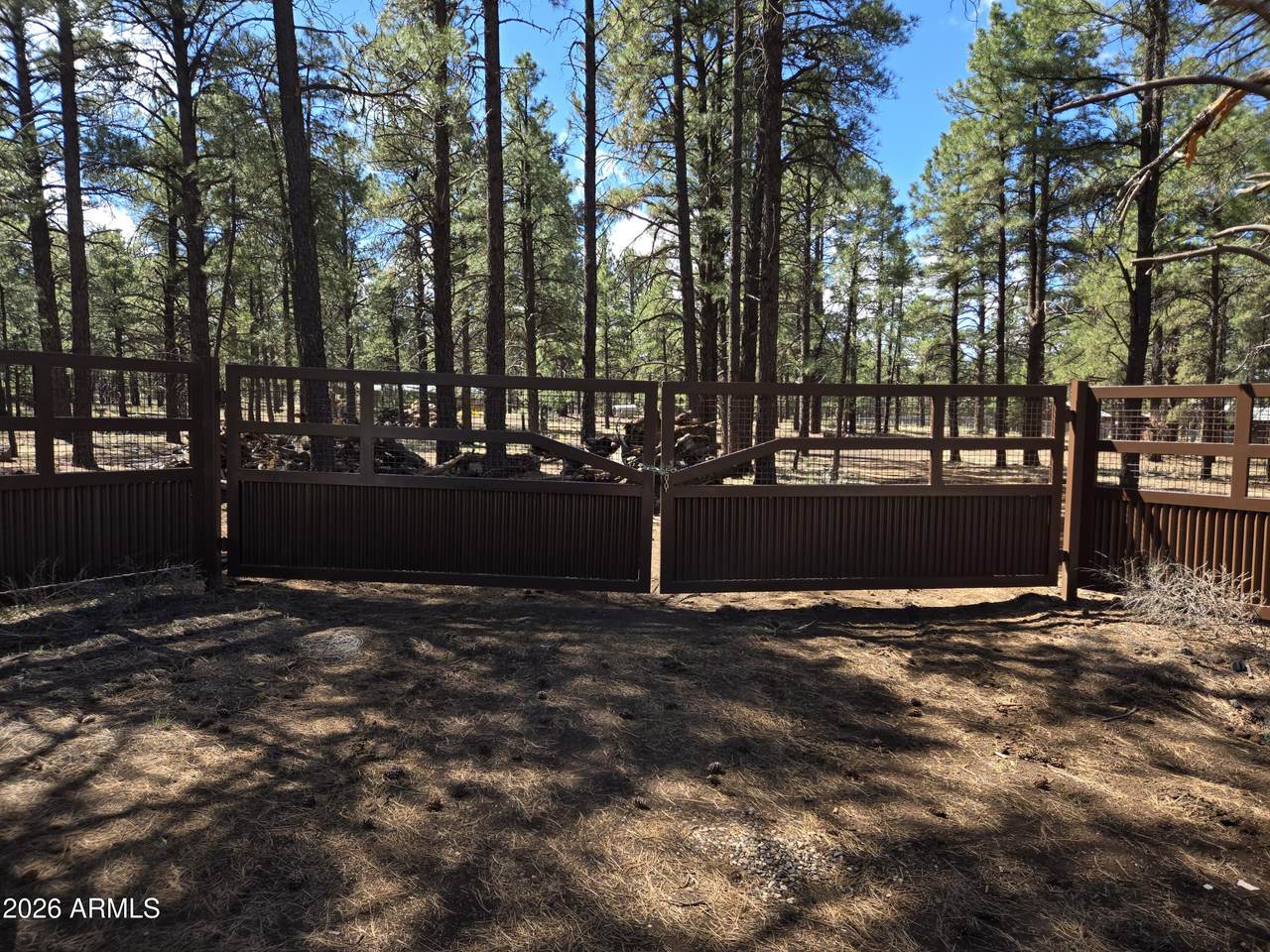 6612 Lynx Lane - Photo 1