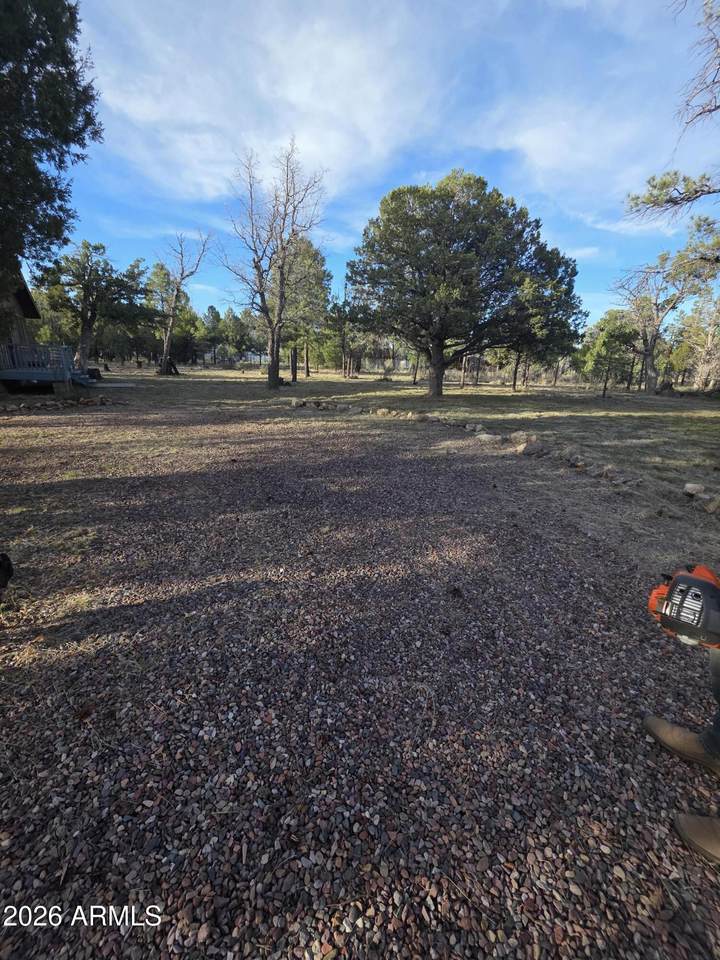 5823 Cougar Drive - Photo 1
