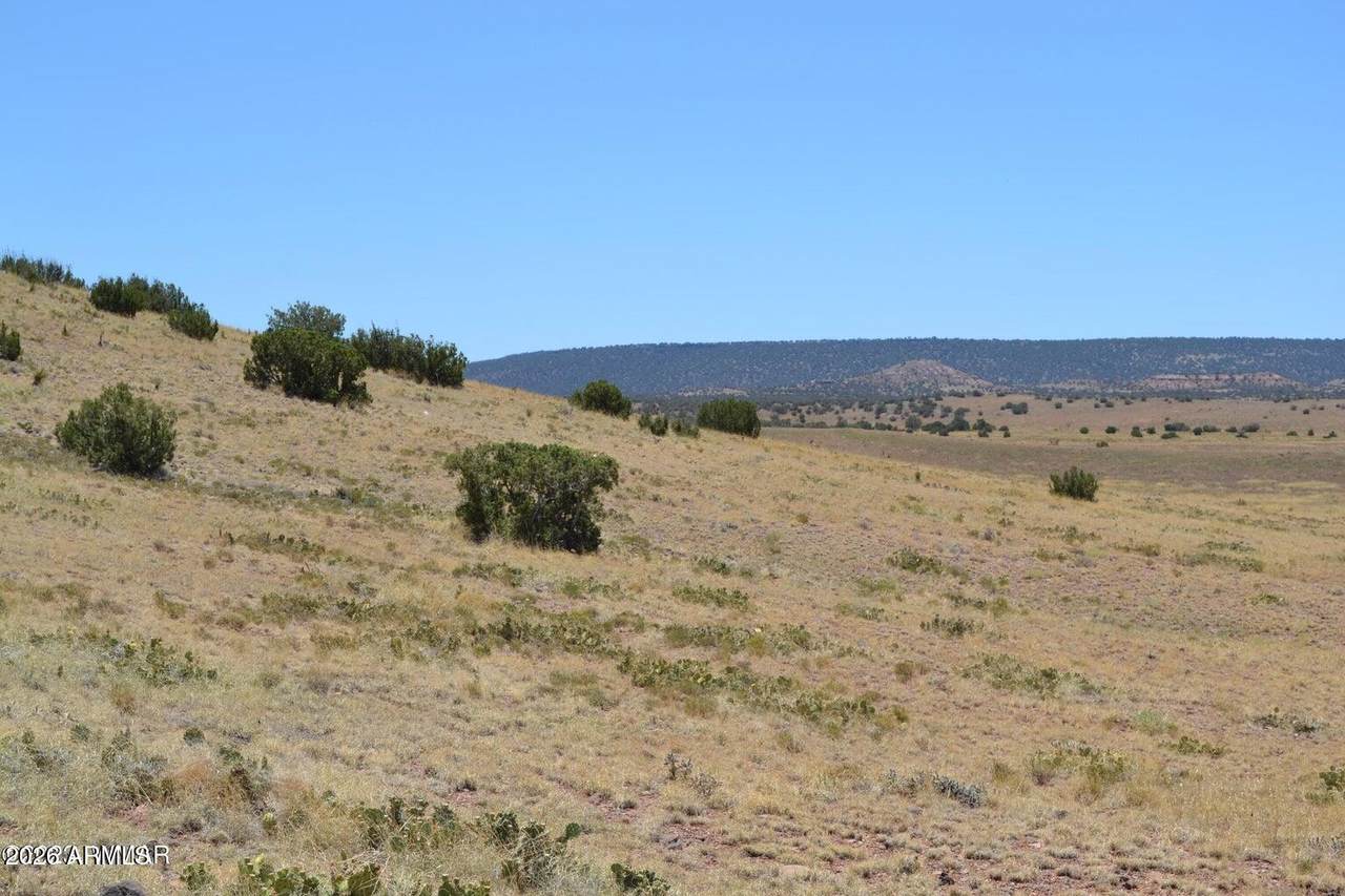 Lot 863 Acr N8497 - Photo 1