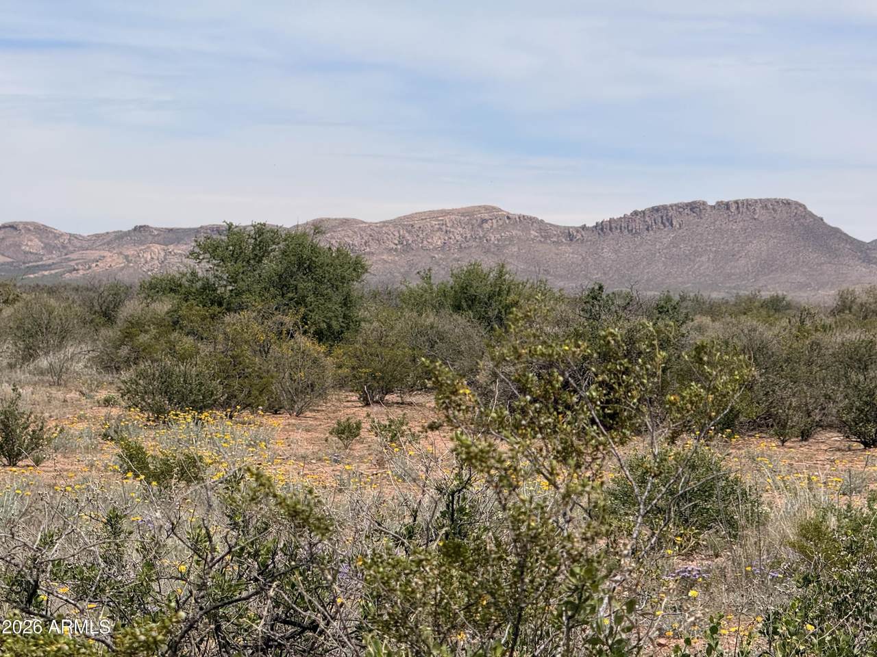 Lot 3940 Valladolid Drive - Photo 1