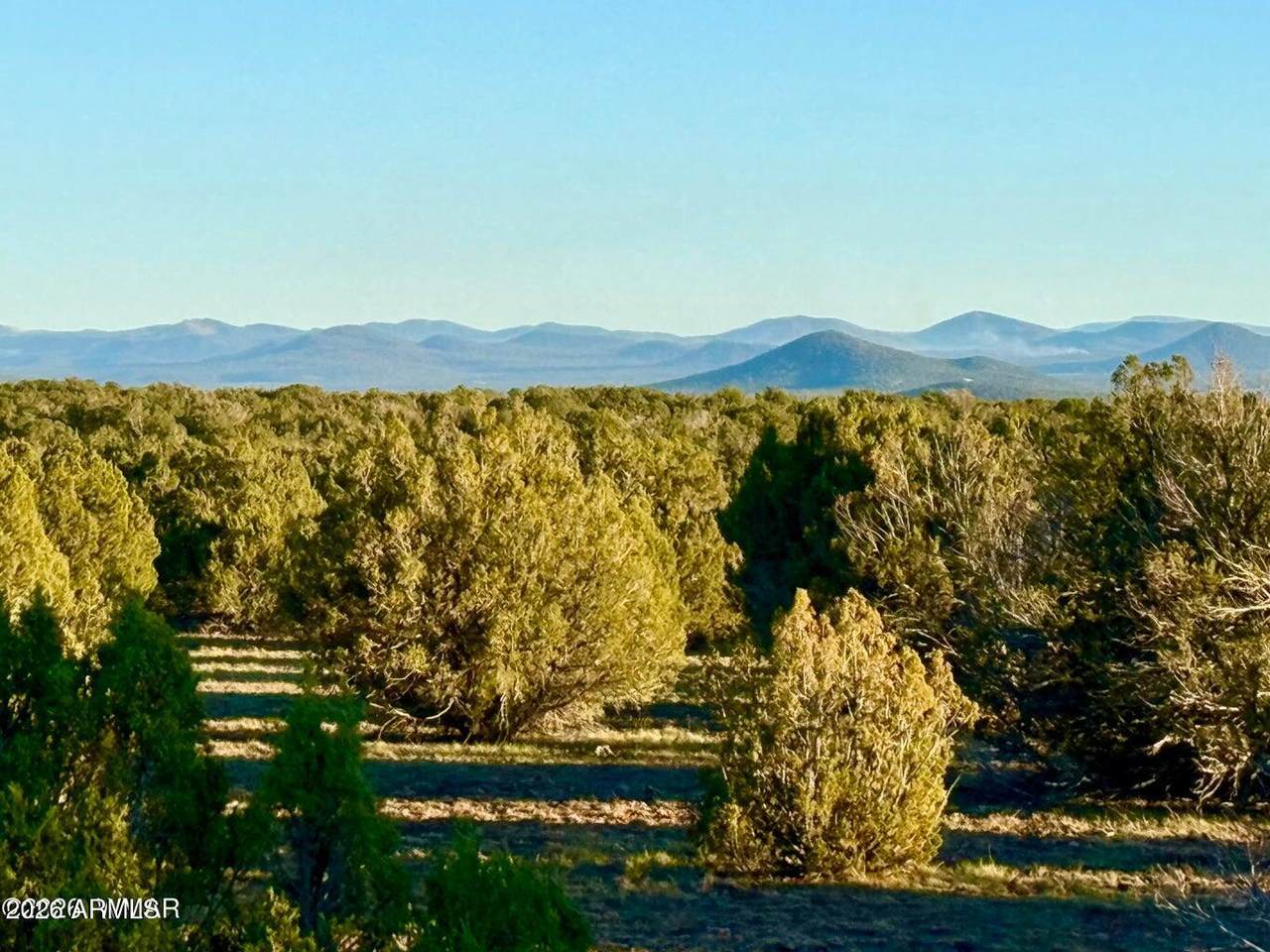 9023 Appaloosa Trl Lot E, 10 Acres - Photo 1
