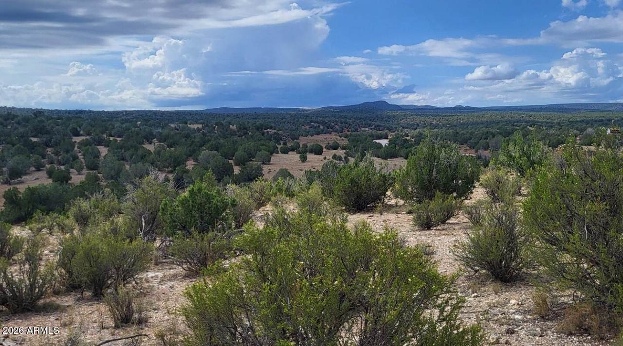 Lot 385 R-Rock & Arizona Road - Photo 1