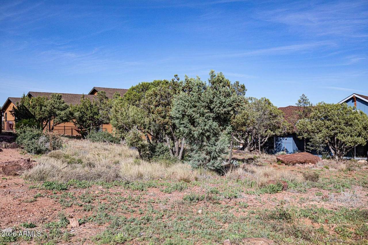 1214 Wagon Trail - Photo 1