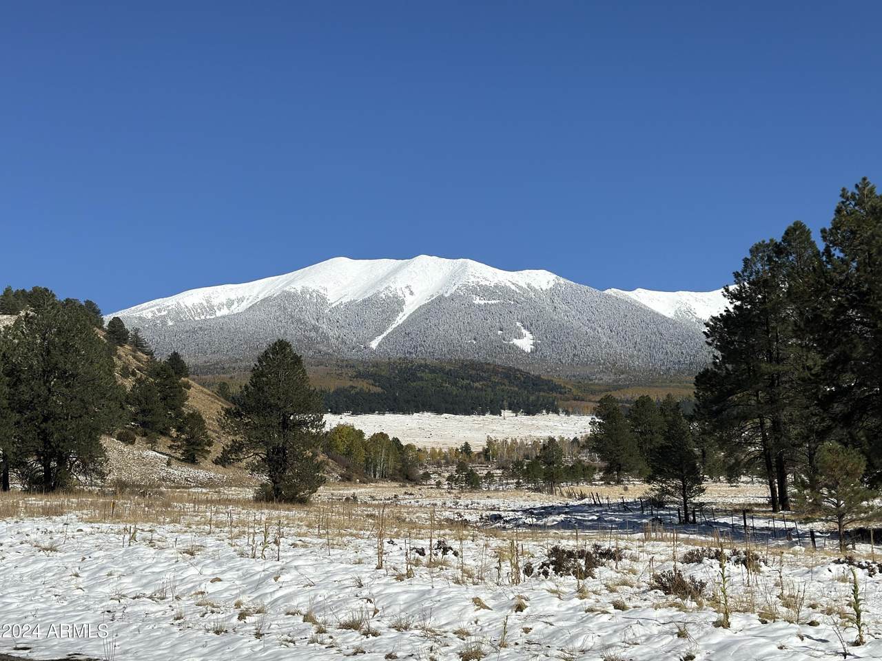 https://bt-photos.global.ssl.fastly.net/armls/1280_boomver_1_7022418-2.jpg