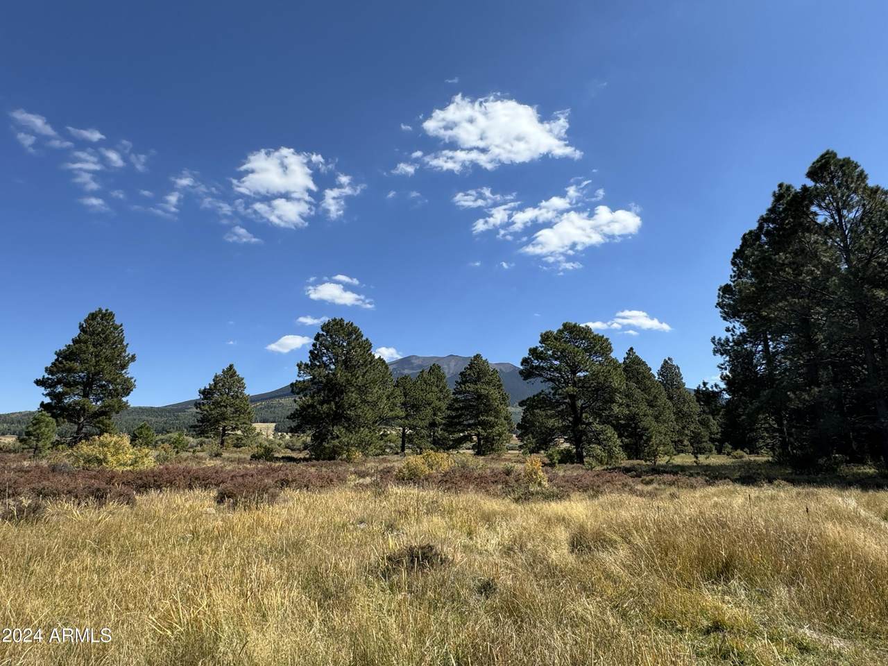 https://bt-photos.global.ssl.fastly.net/armls/1280_boomver_1_7022420-2.jpg