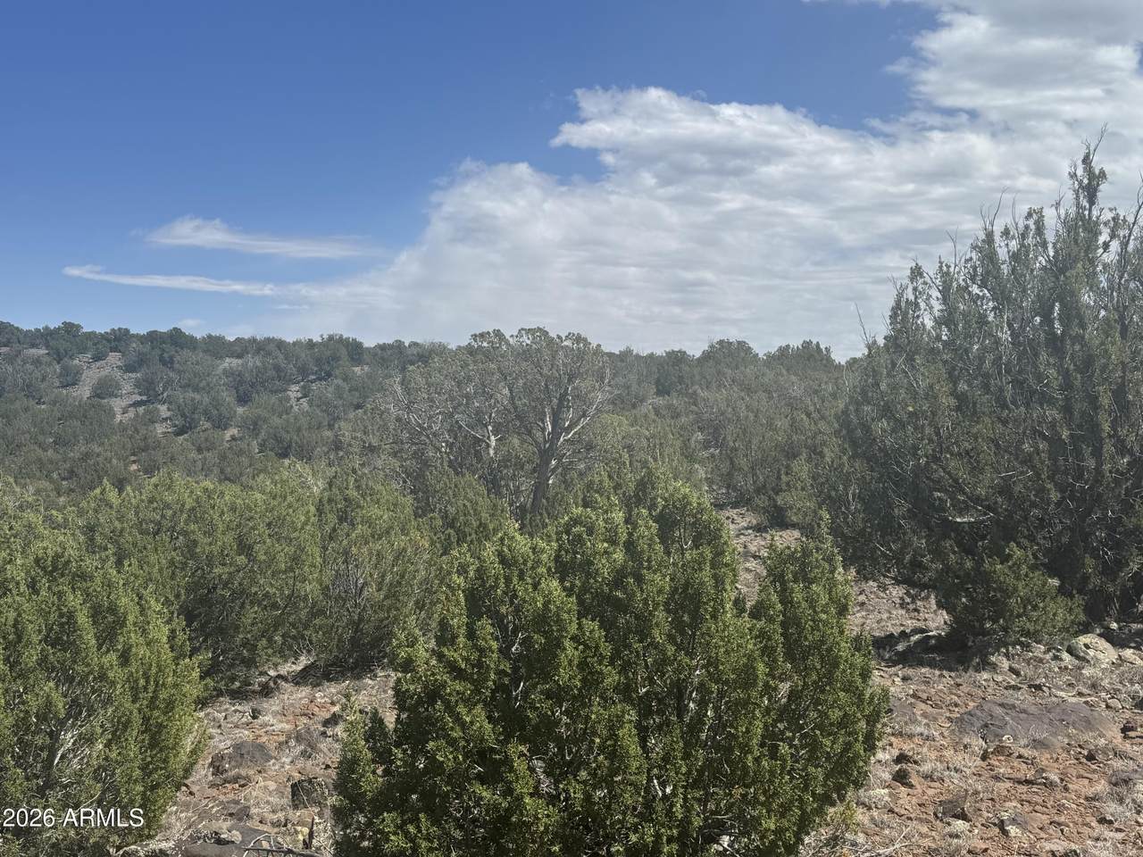 https://bt-photos.global.ssl.fastly.net/armls/1280_boomver_1_7023844-2.jpg