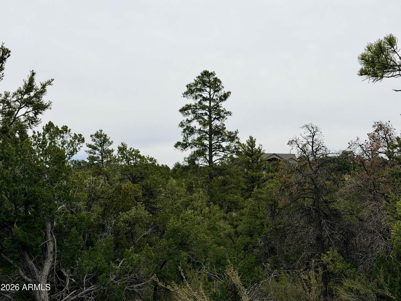 4918 Sunset Ridge Loop - Photo 1