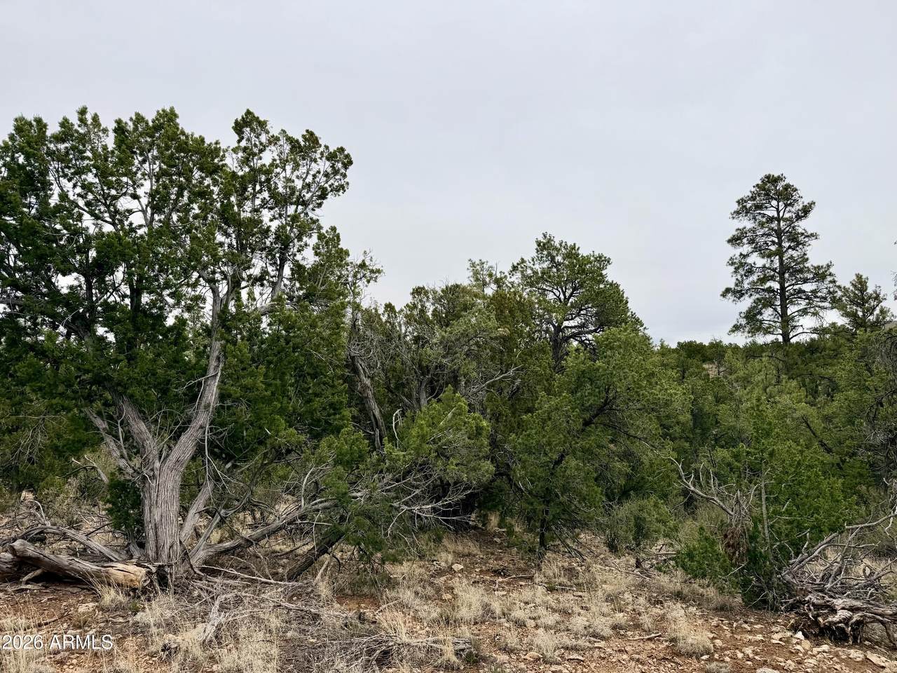 https://bt-photos.global.ssl.fastly.net/armls/1280_boomver_1_7023946-2.jpg