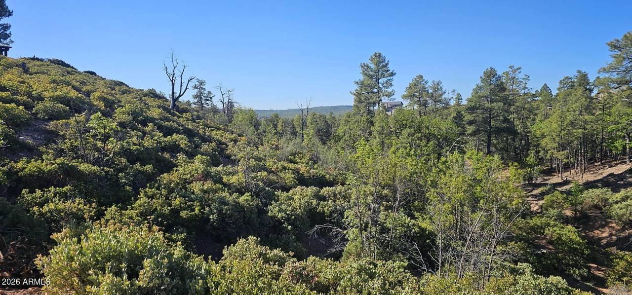 6303 Deer Run Road - Photo 1
