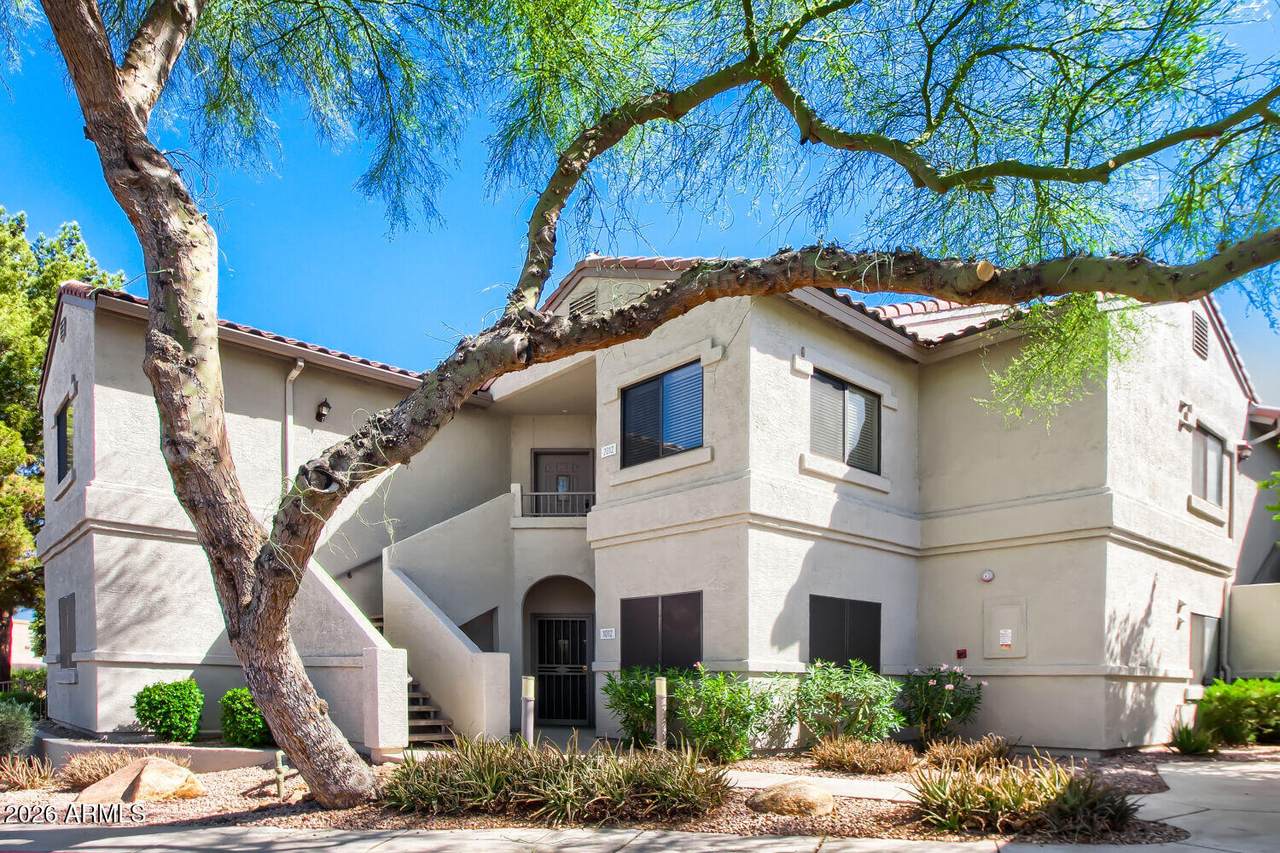 9455 Raintree Drive - Photo 1