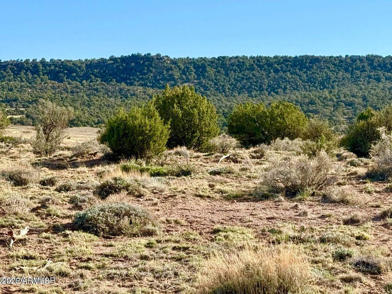 85 Co Rd 8500 Acres - Photo 1