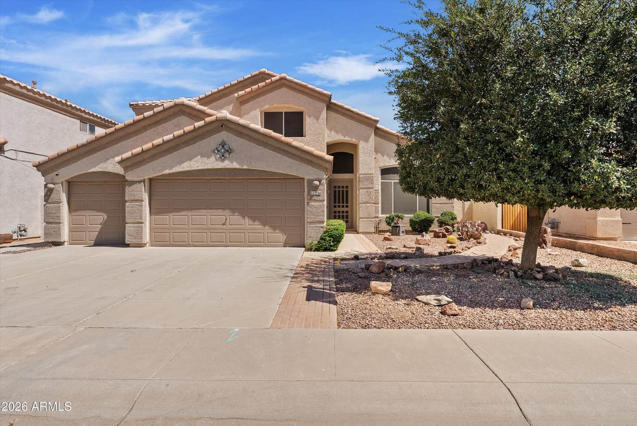 11530 Palm Brook Drive - Photo 1