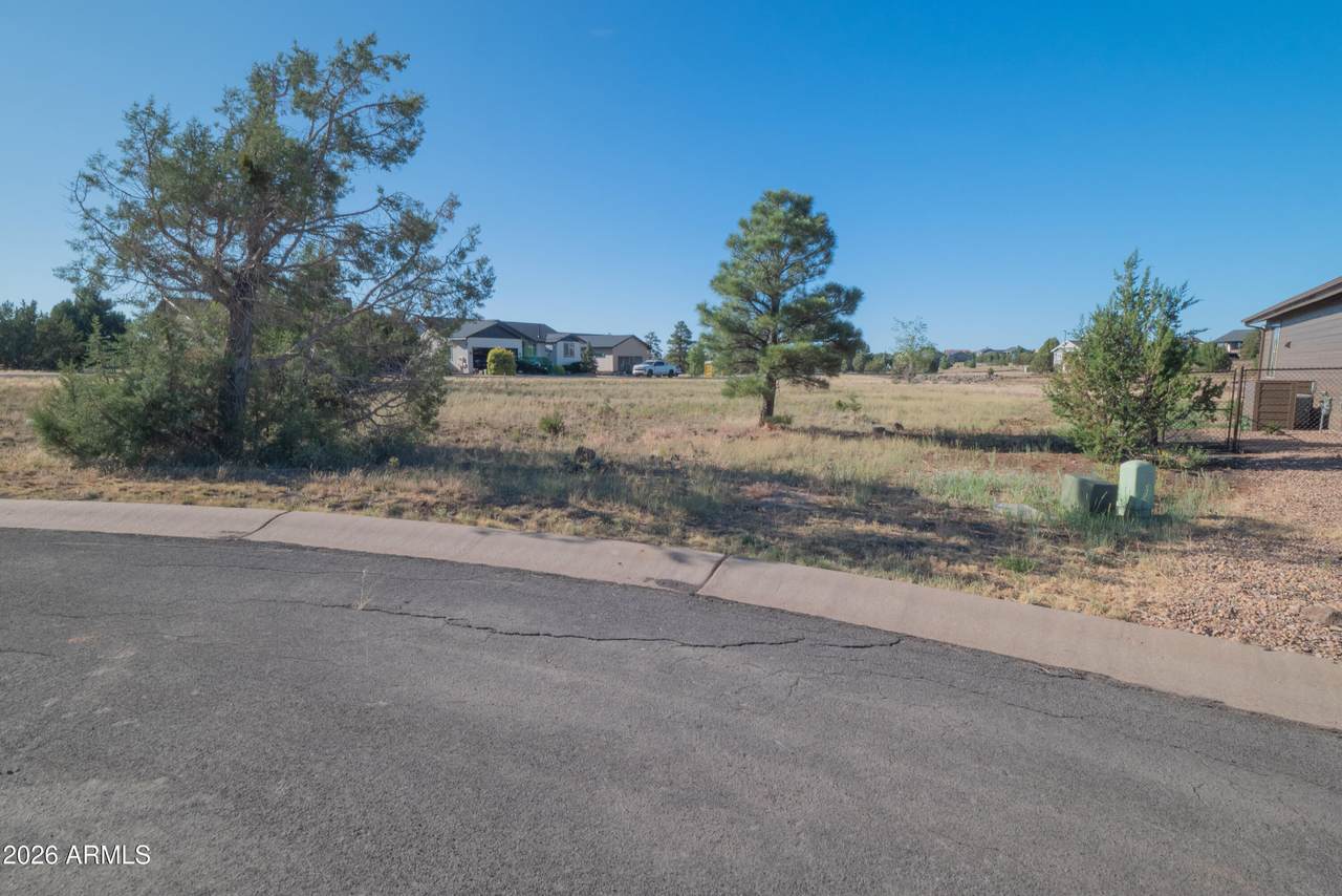 981 Lorenzo Sitgreaves Drive - Photo 1