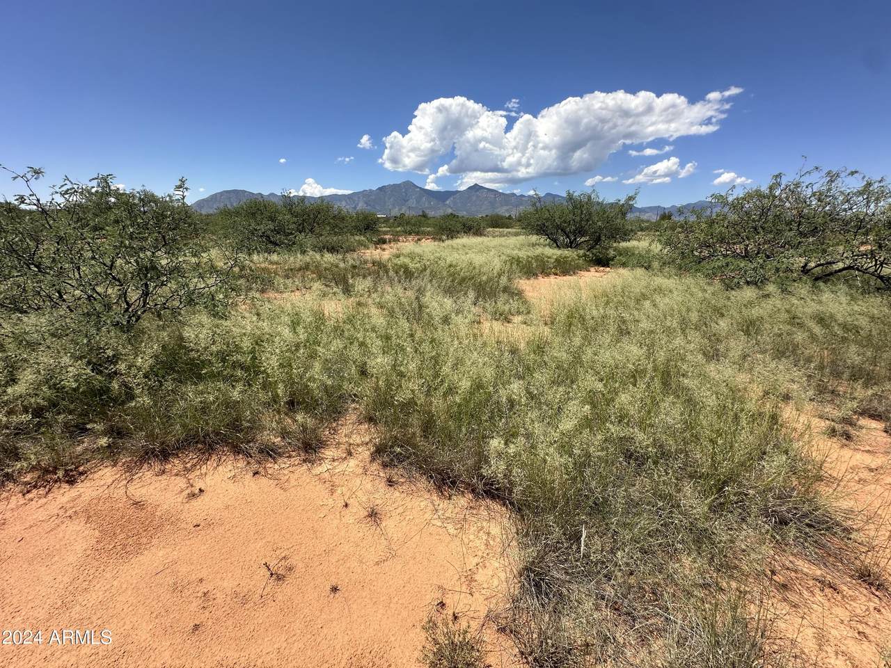 000 Nevada Drive - Photo 1