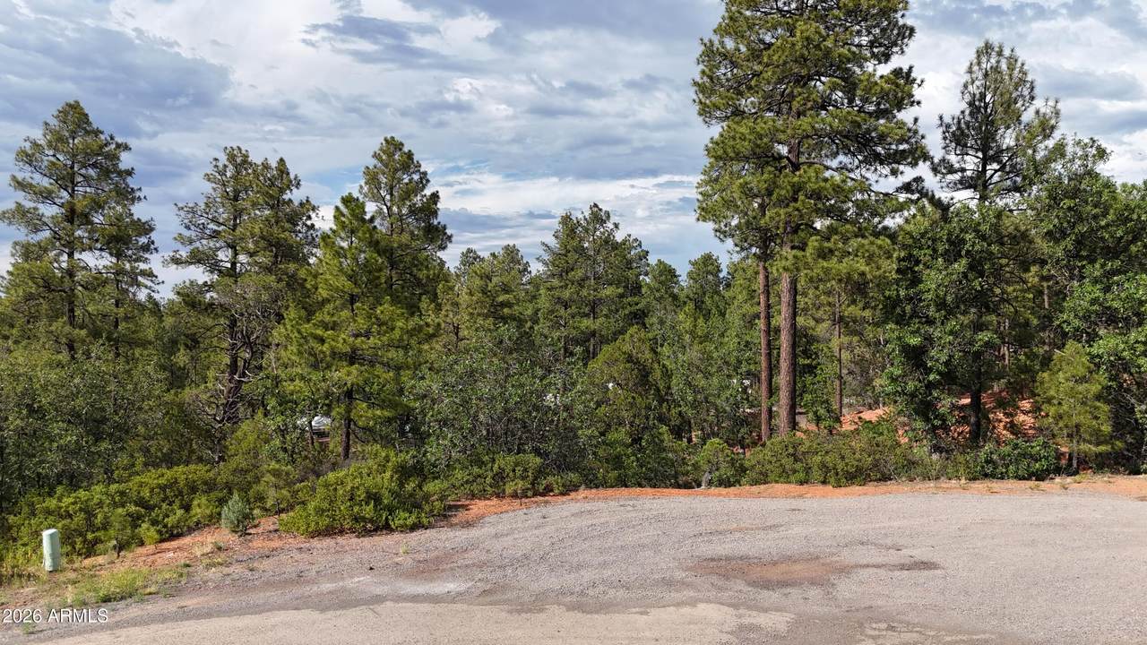 7026 Leo Lane - Photo 1