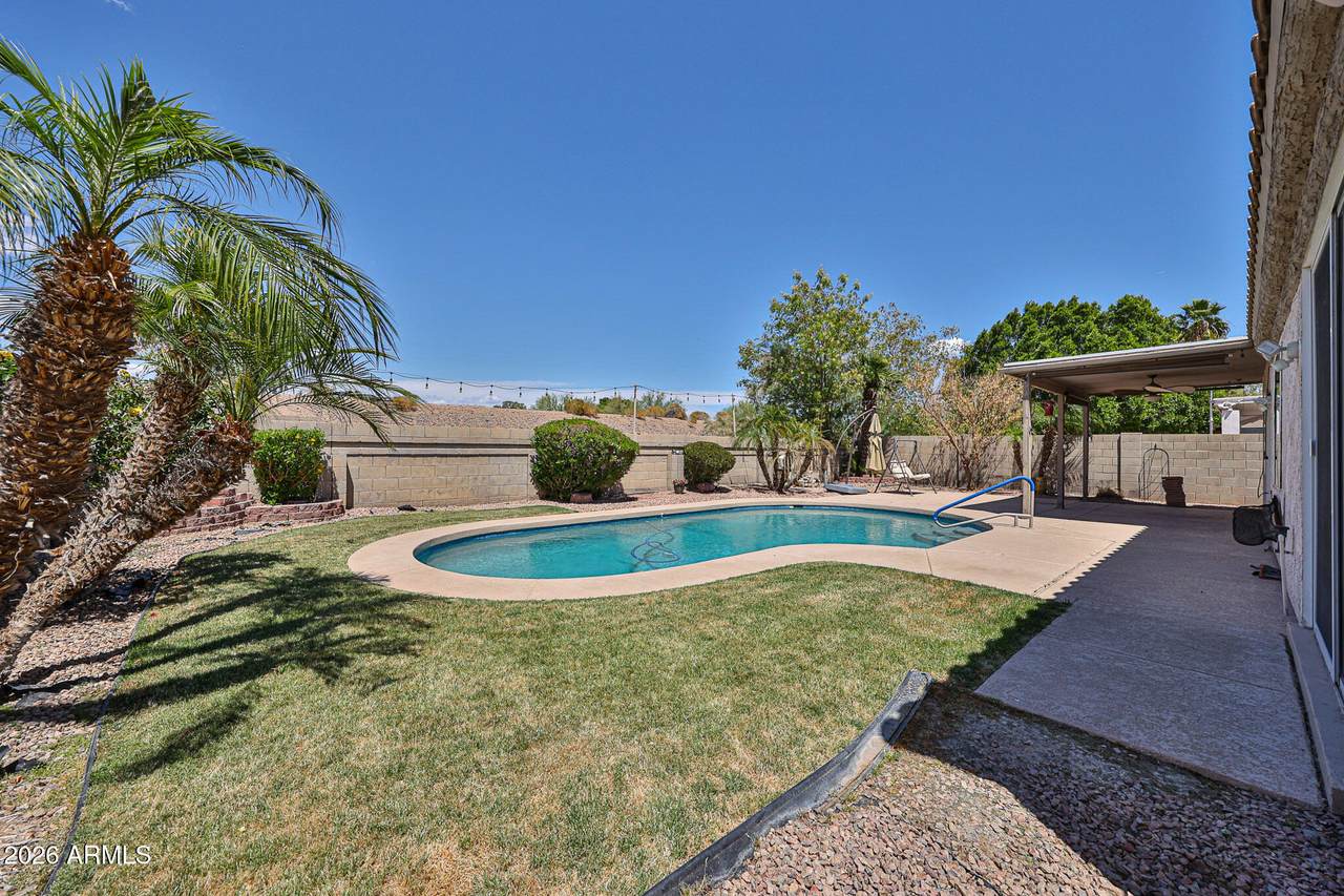11518 Palm Brook Drive - Photo 1