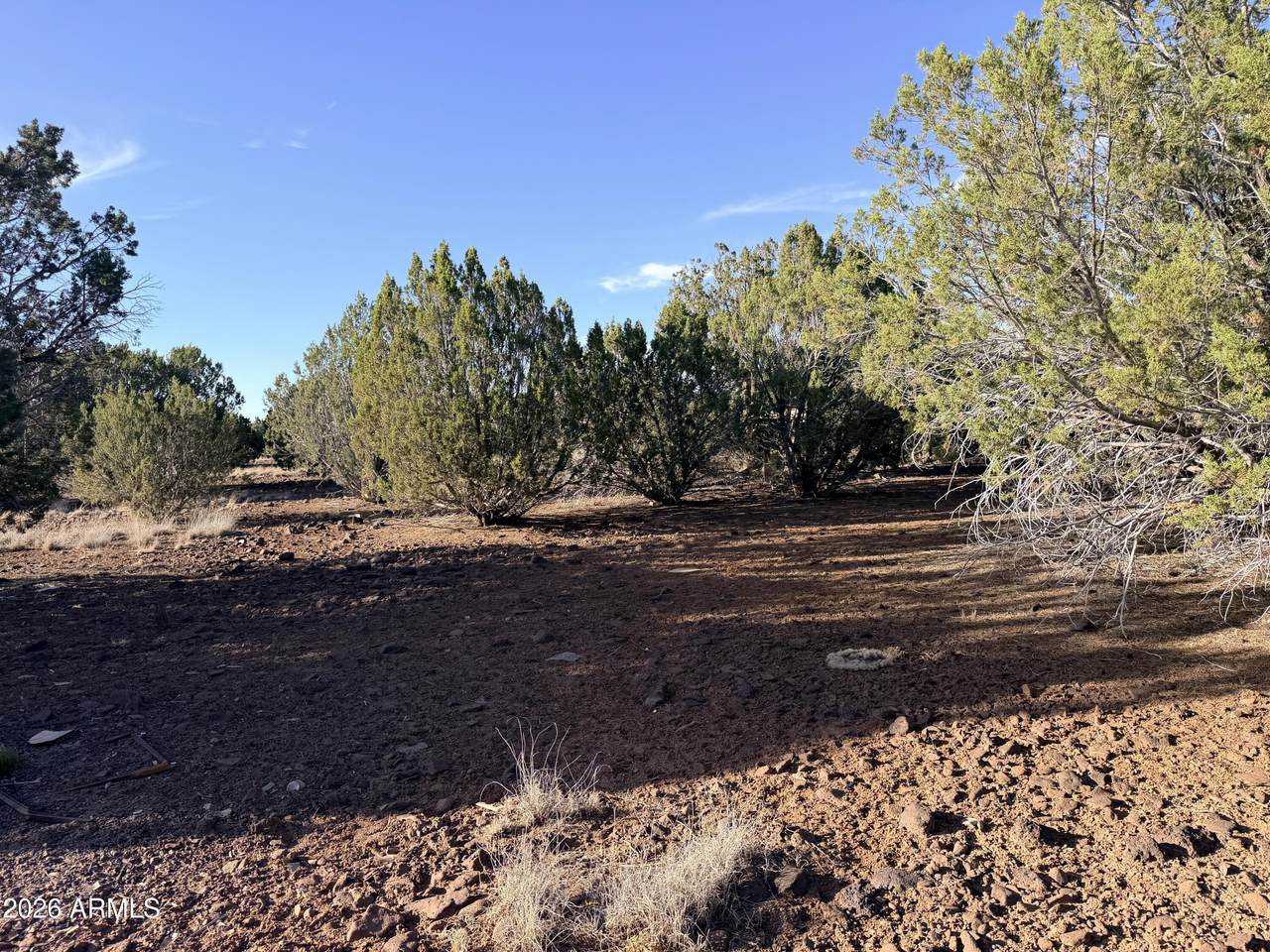 9070 Pinto Trail - Photo 1