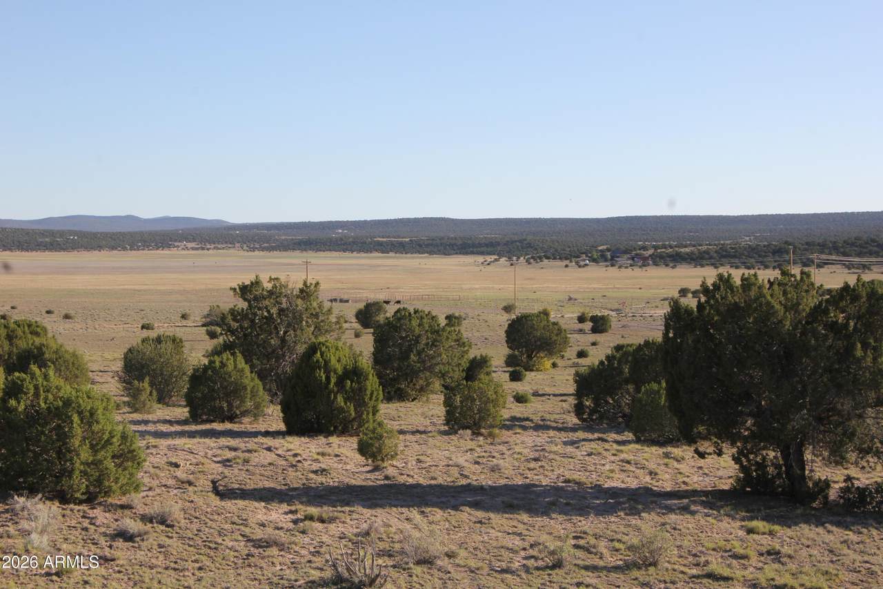 8500 Tbd County Road 8500 Road - Photo 1