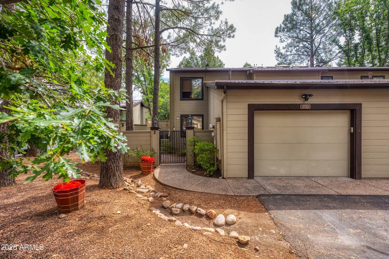 3723 Crown Dancer Drive - Photo 1