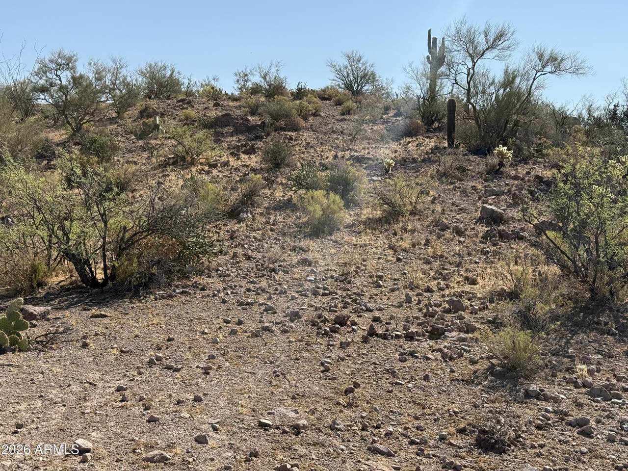 xxx Lake Pleasant /Cow Creek Road - Photo 1
