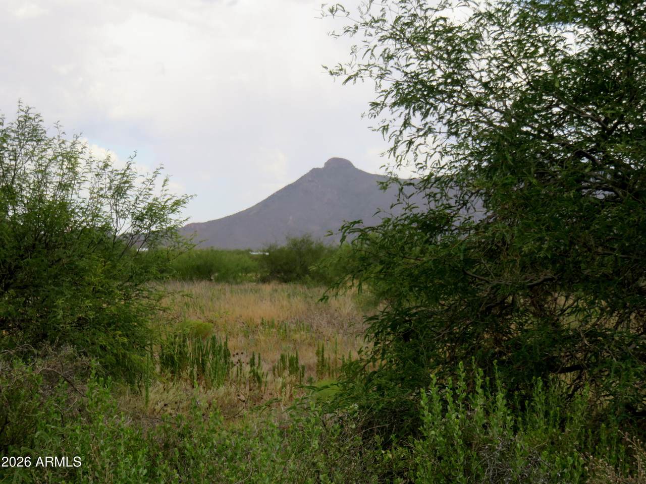 TBD Hermosillo Road - Photo 1