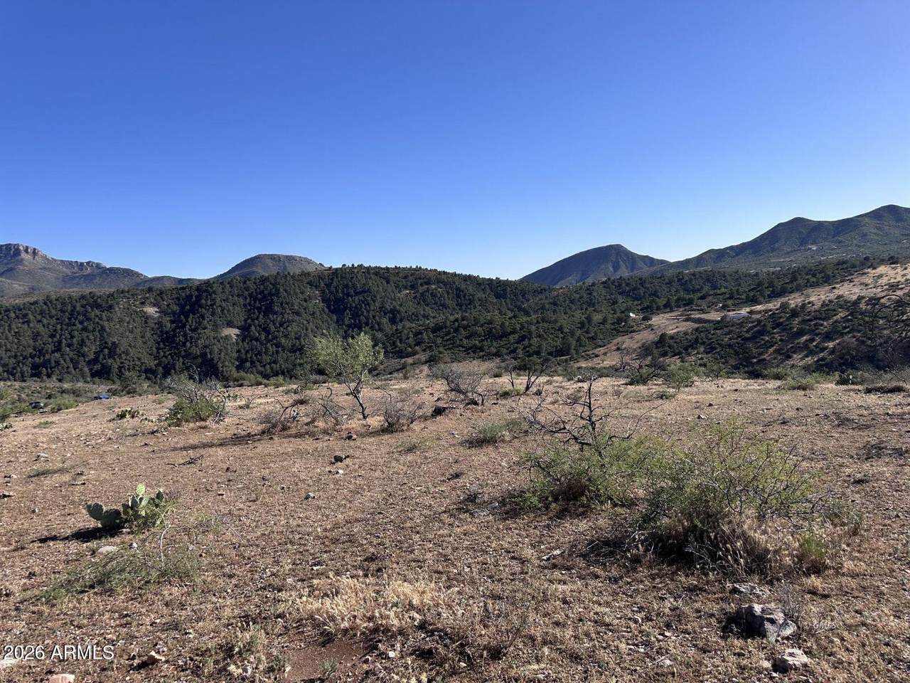 1076 Horseshoe Springs Road - Photo 1