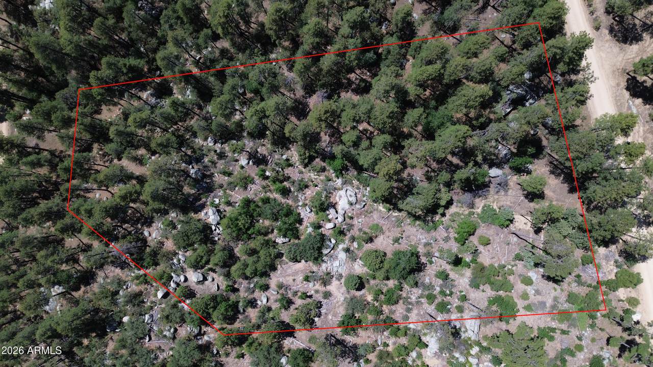 4825 Vulture Bend Drive - Photo 1