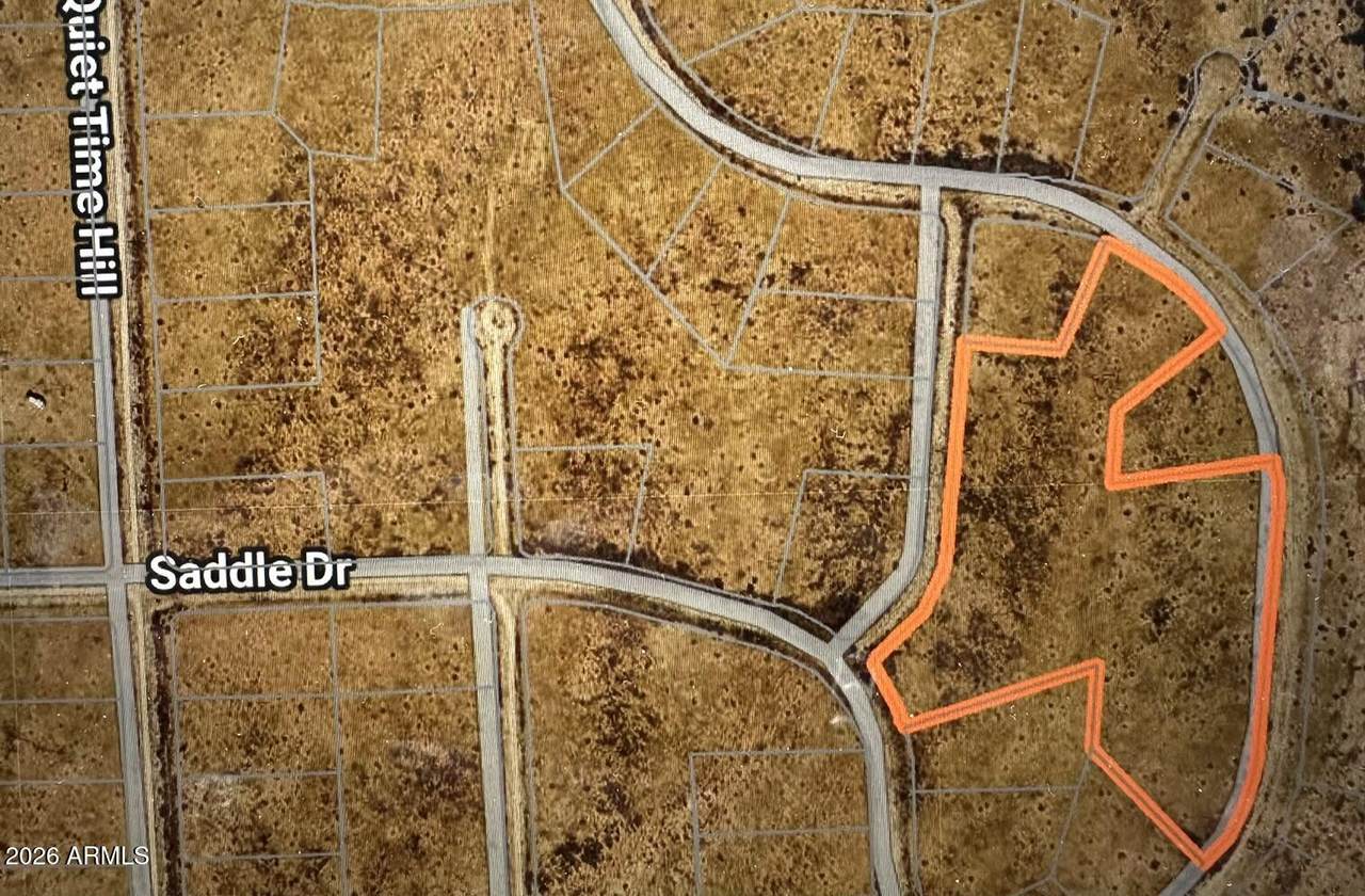 TBD Saddle Drive - Photo 1