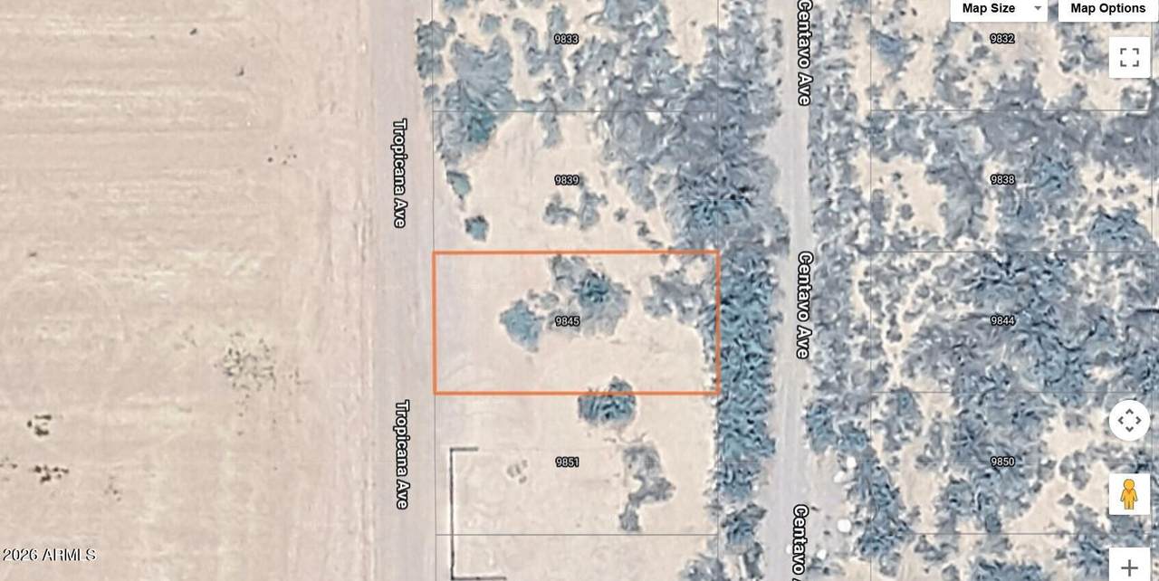 9845 Centavo Avenue - Photo 1