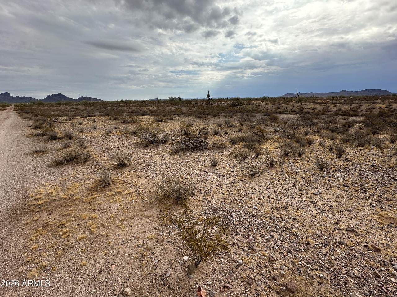 334xx Painted Wagon Trail - Photo 1