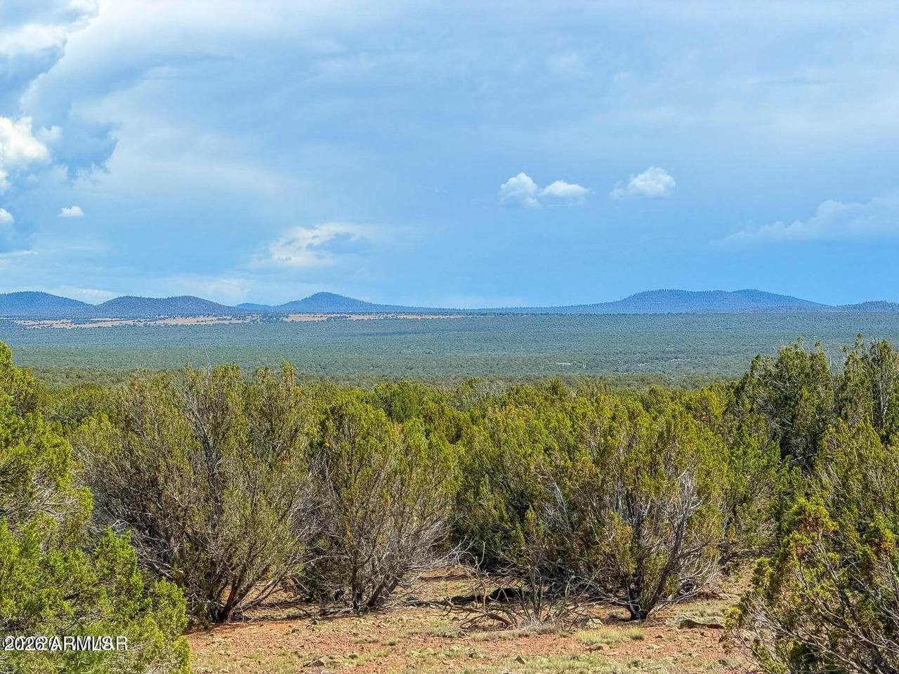 0 Gample Ln 13 Acres (Lot A) - Photo 1