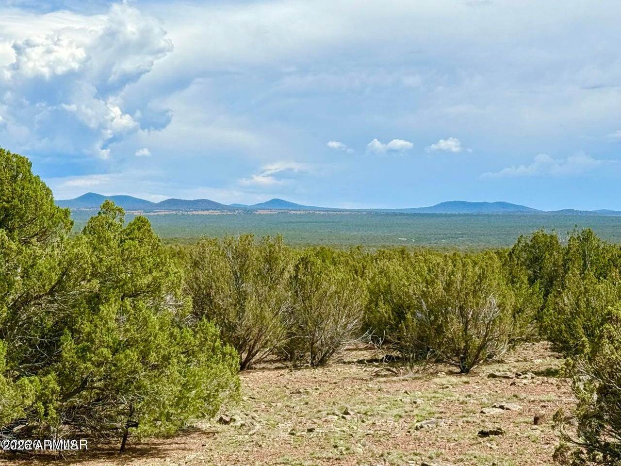0 Gample Ln 13 Acres (Lot B) - Photo 1