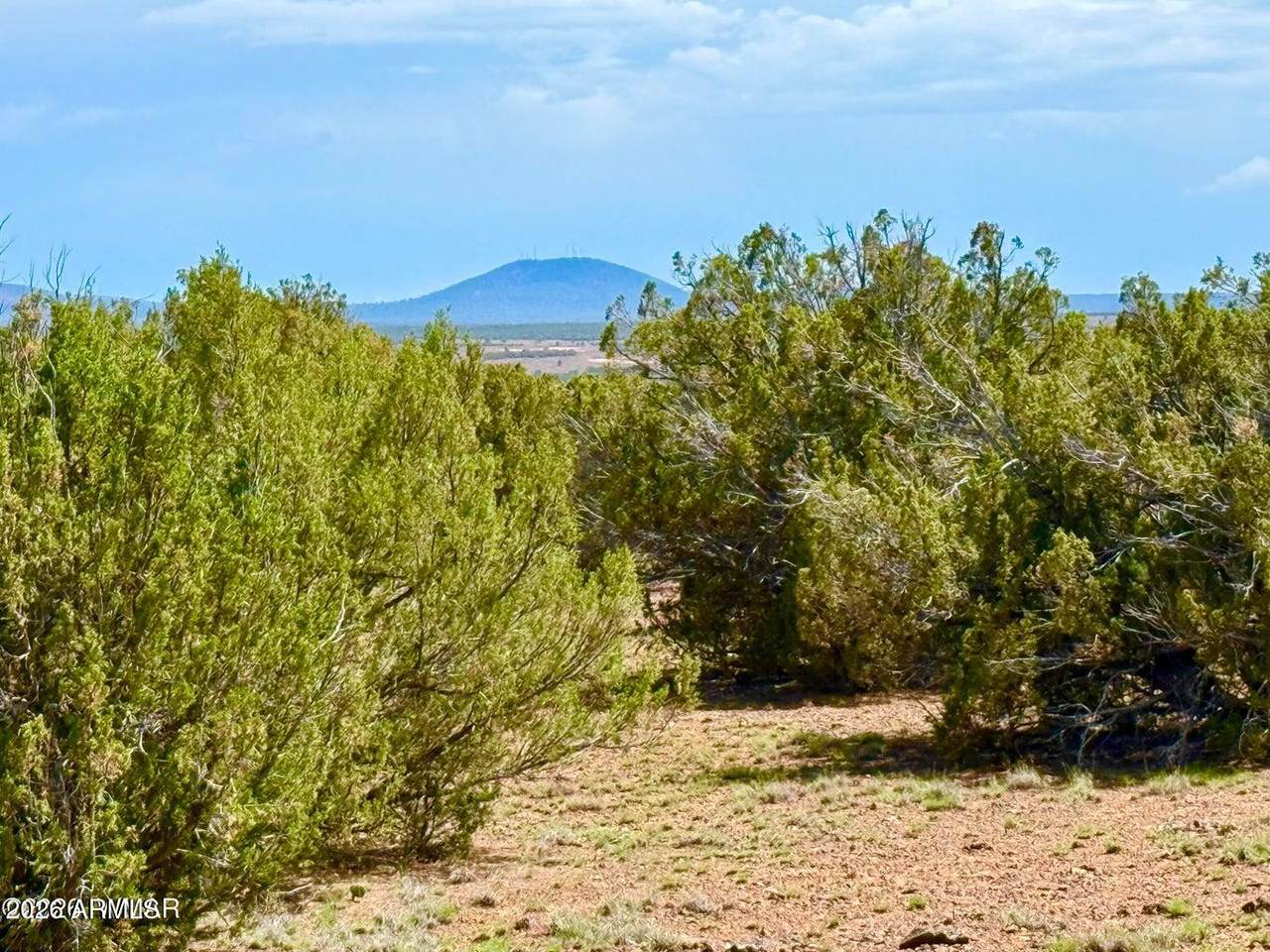 0 Gample Ln 13 Acres (Lot C) - Photo 1