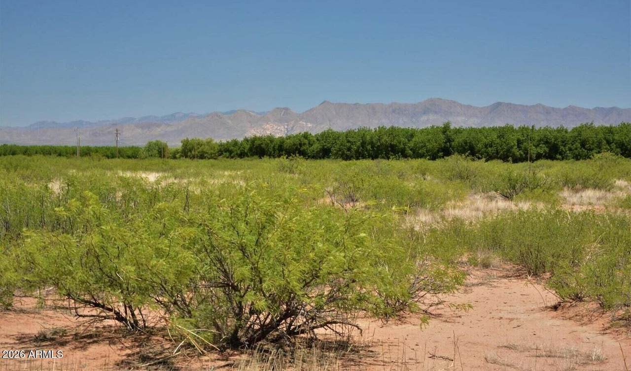 TBD Tombstone Trail - Photo 1