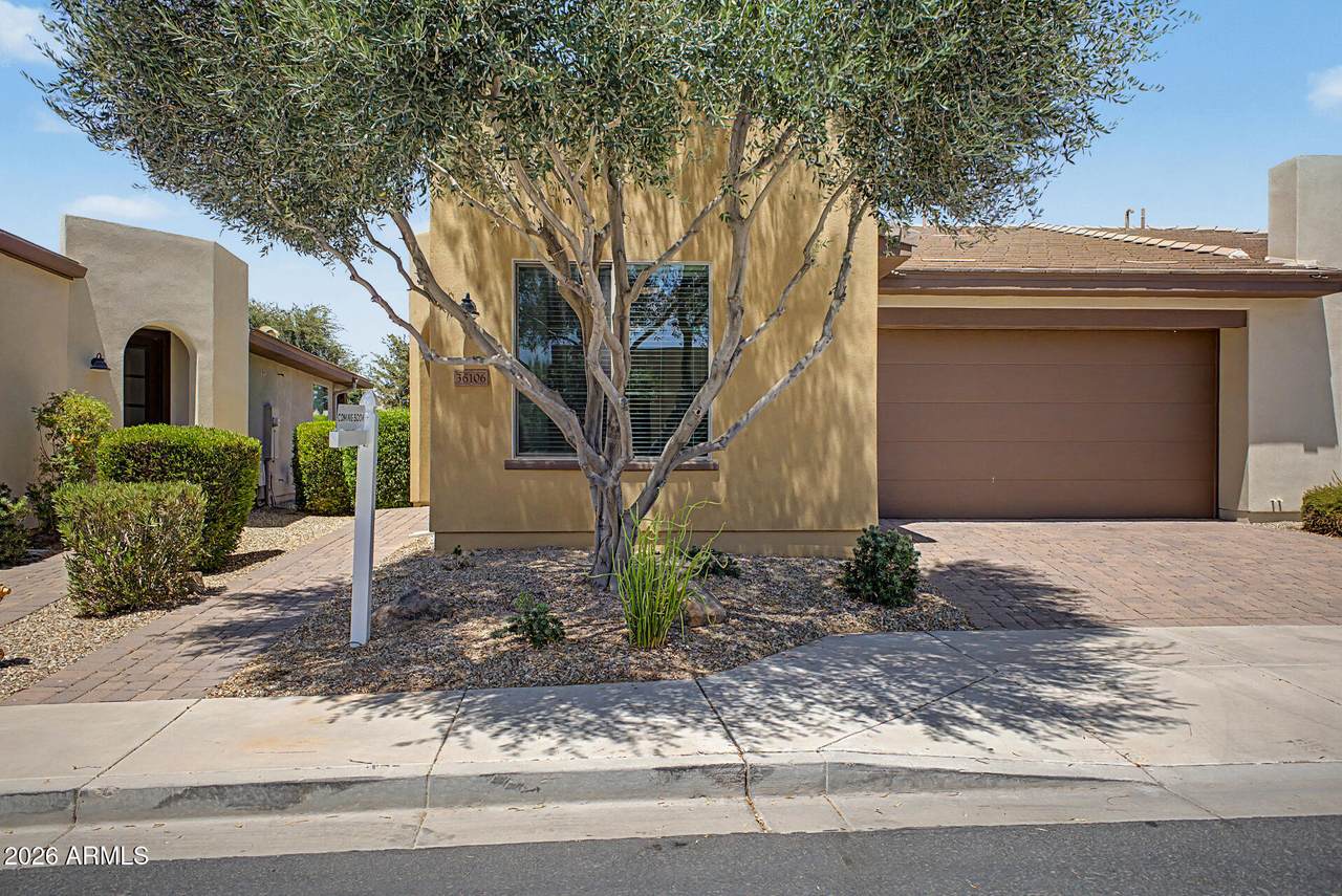 36106 Desert Tea Drive - Photo 1
