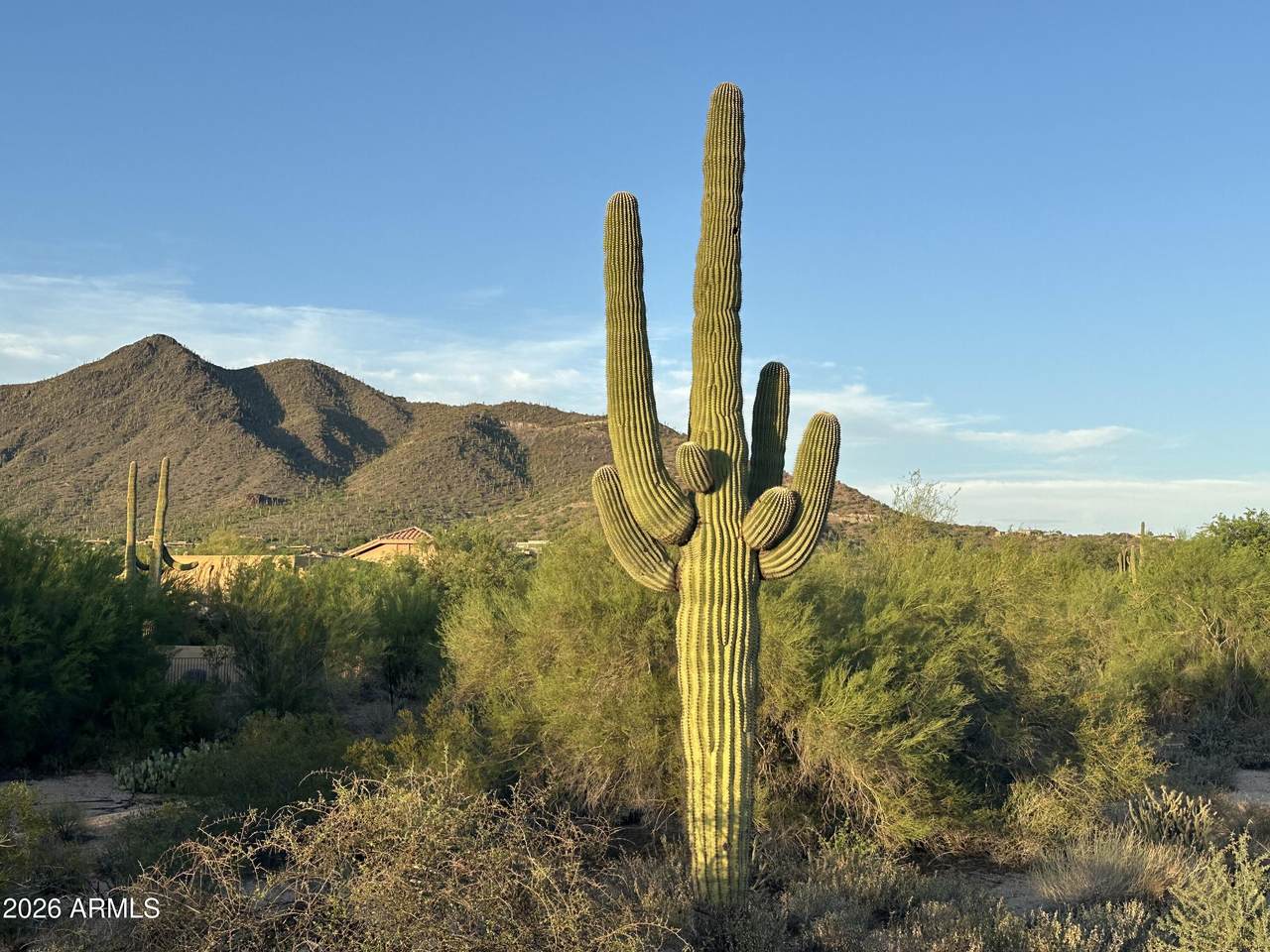34850 Cave Creek Road - Photo 1